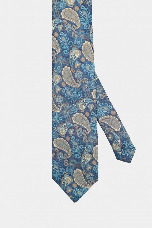 blue paisley brown necktie dgrie