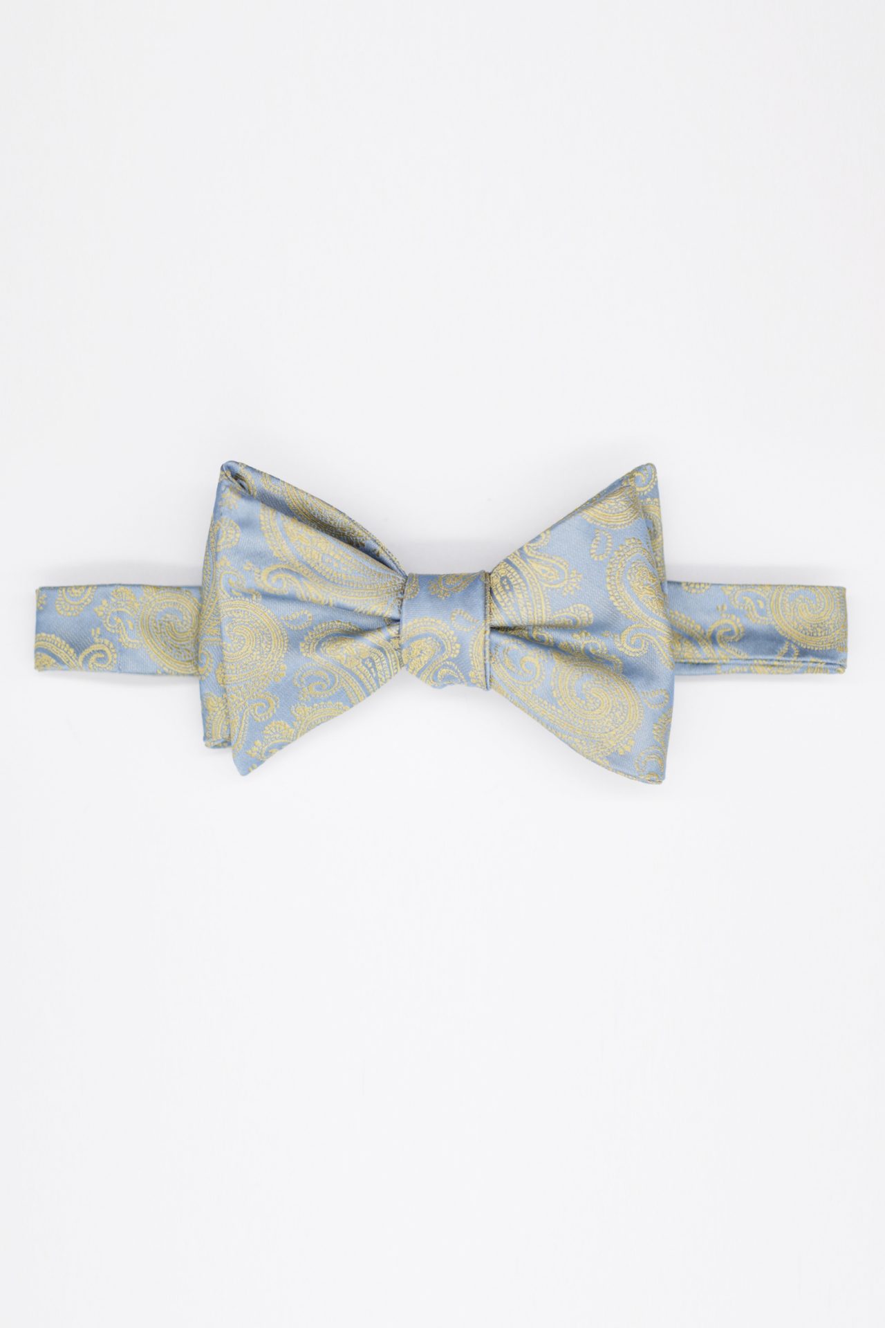 blue paisley gold bowtie dgrie