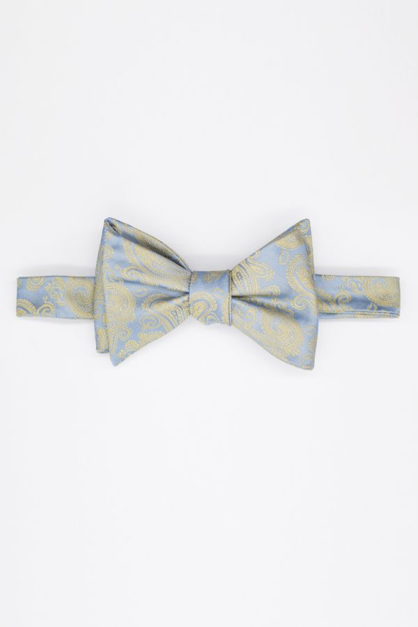 blue paisley gold bowtie dgrie