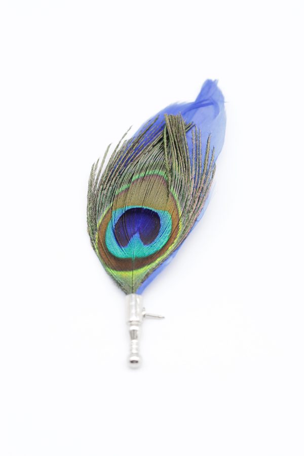 blue peacock brooch dgrie