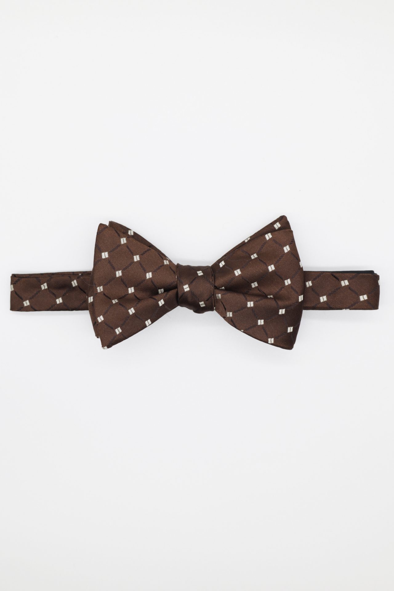 dark brown white dot bowtie dgrie