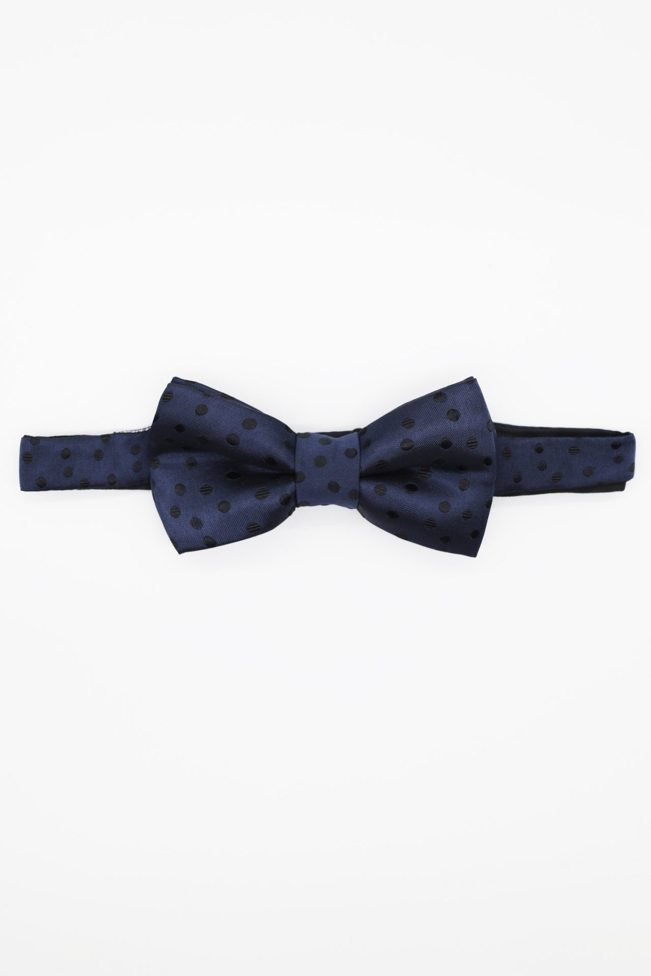 dark navy black dot bowtie dgrie