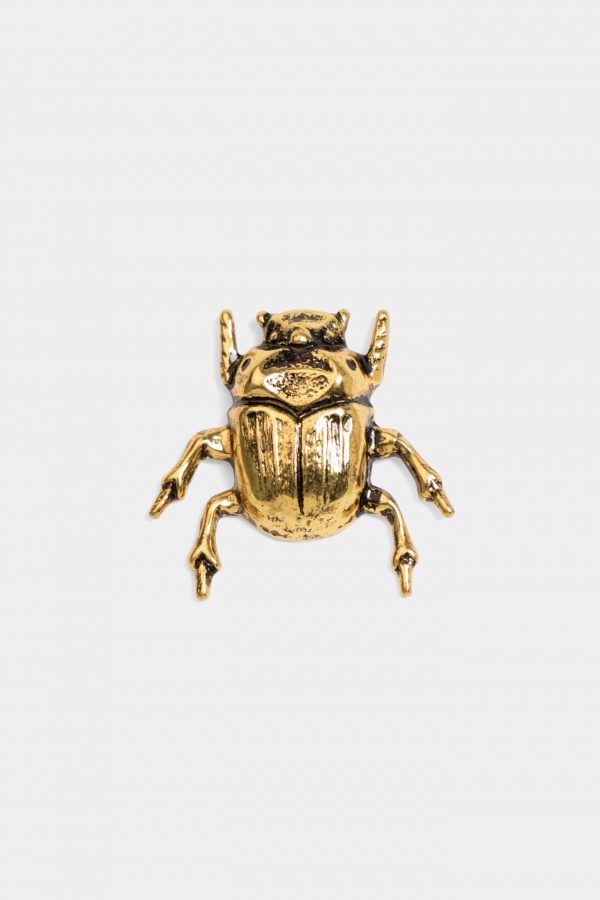 gold beetles brooch dgrie 2