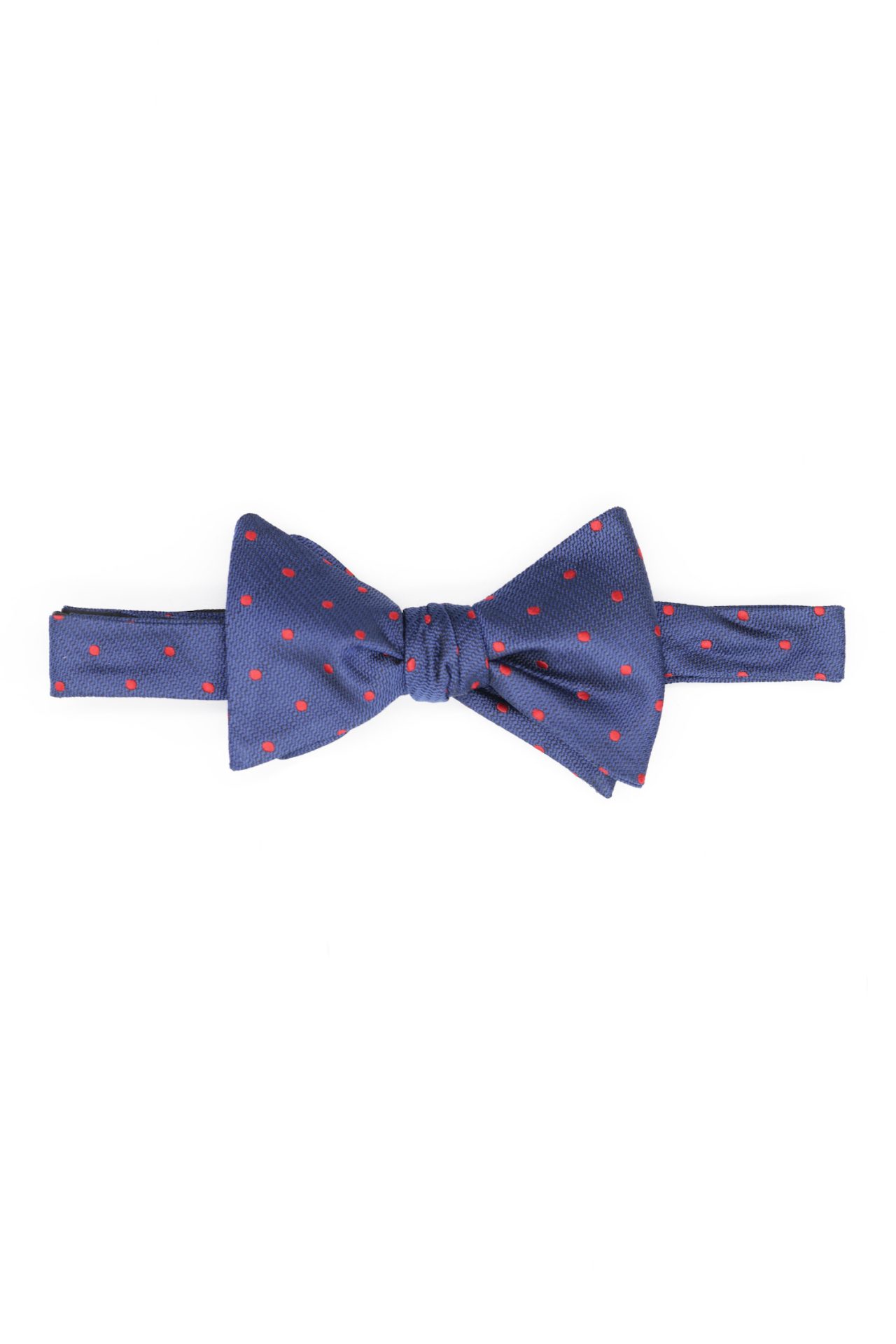 navy dot red bowtie dgrie