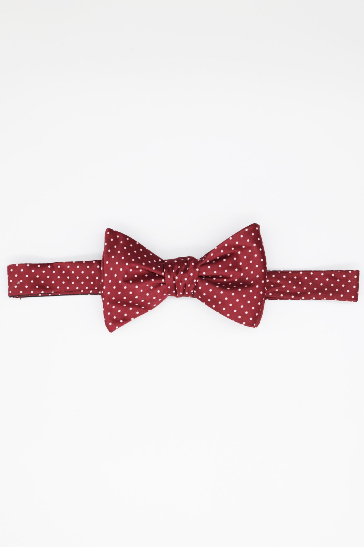 red dot white bowtie dgrie 1