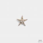 golden stars sparkle brooch dgrie